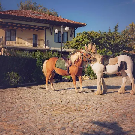 еко комплекс албиция 빌라 *