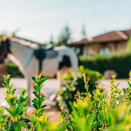 Villa еко комплекс албиция *