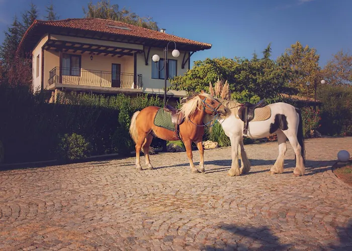 еко комплекс албиция Villa *