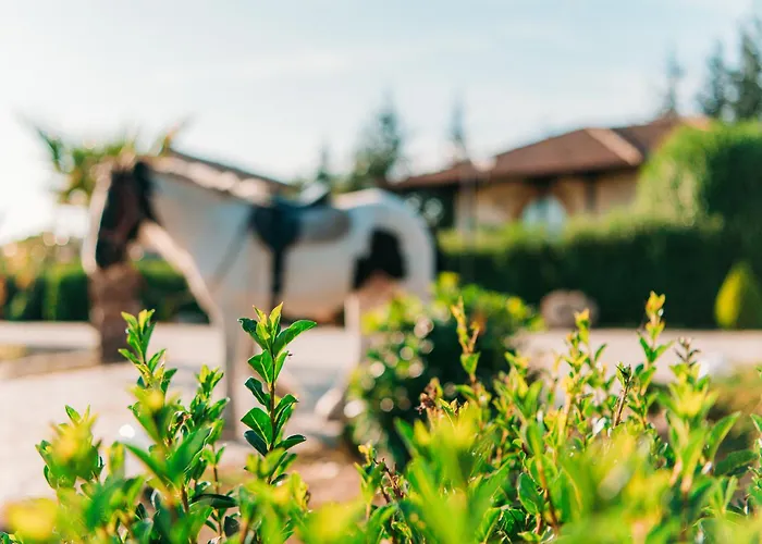 Villa еко комплекс албиция *