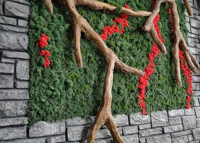 Villa еко комплекс албиция *